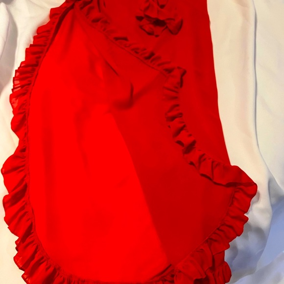 Red Cover Up - Picture 4 of 5
